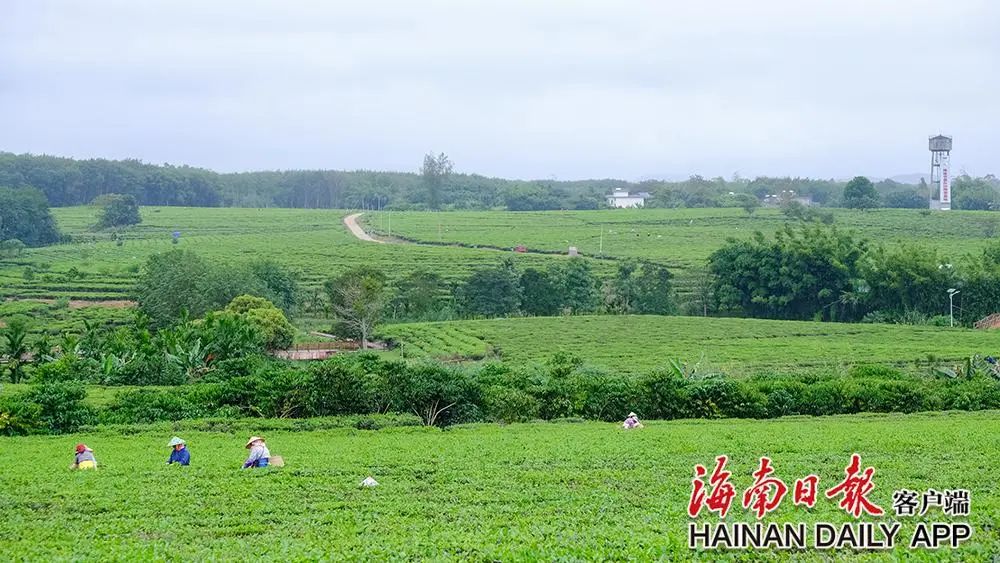 新时代 新征程4.jpg